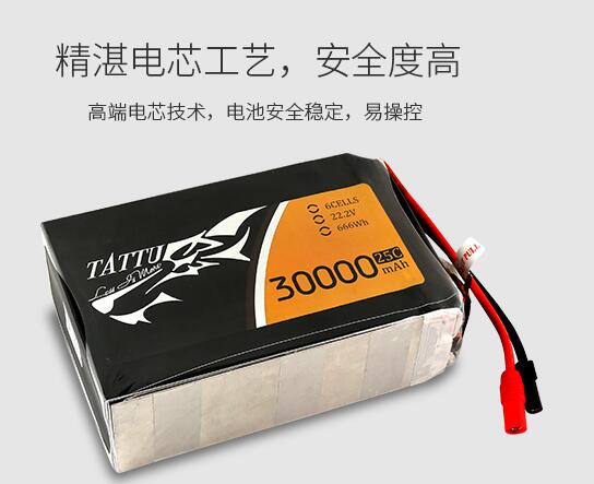 格氏Tattu電池 格氏Tattu電池