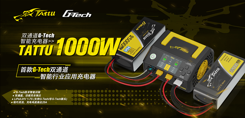 TA1000智能充電器 TA1000智能充電器